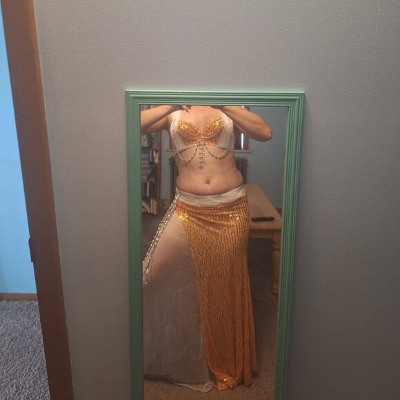 Beginner bellydance costume - Picture 1 of 4